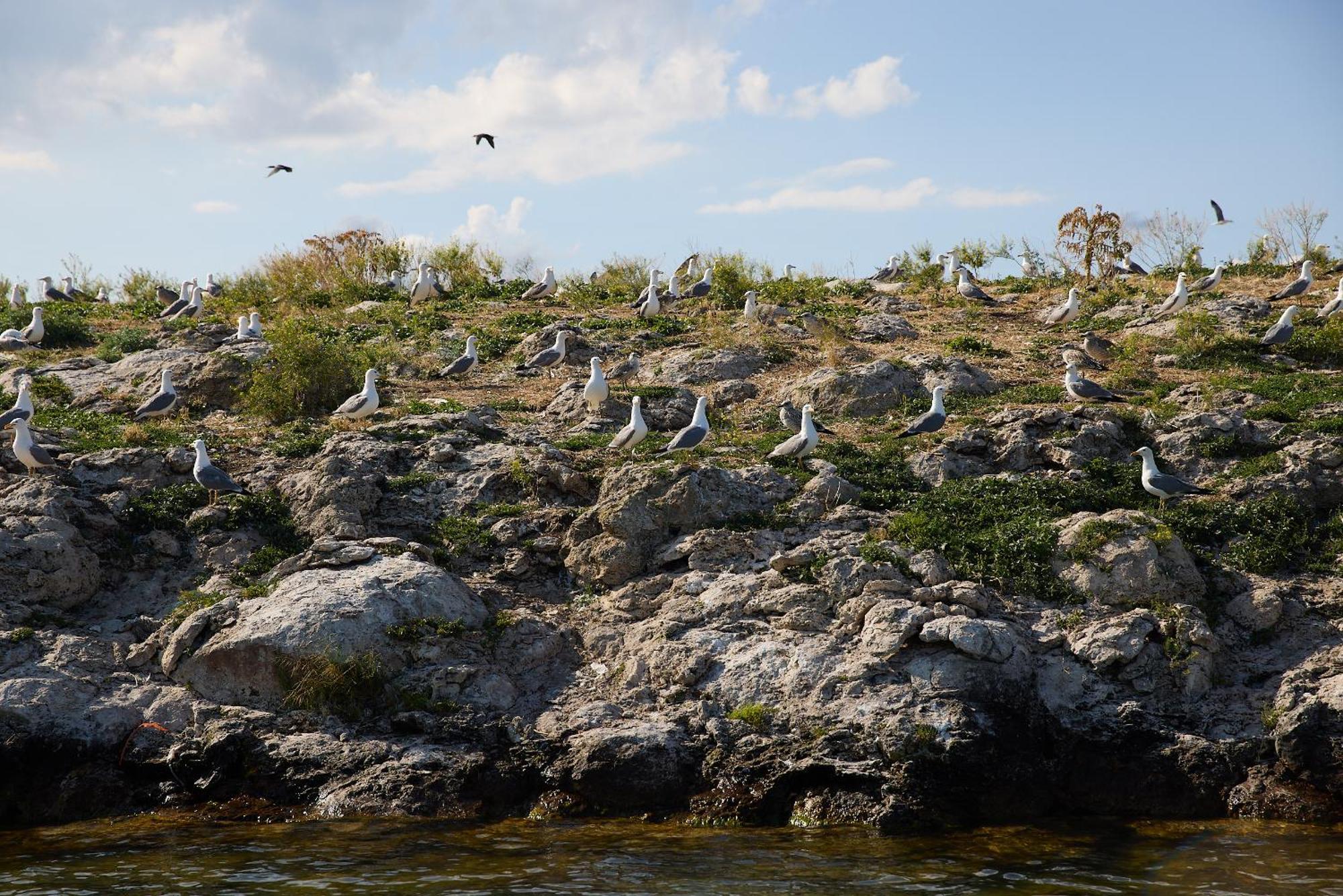 Noy Land Resort Sevan Exteriér fotografie